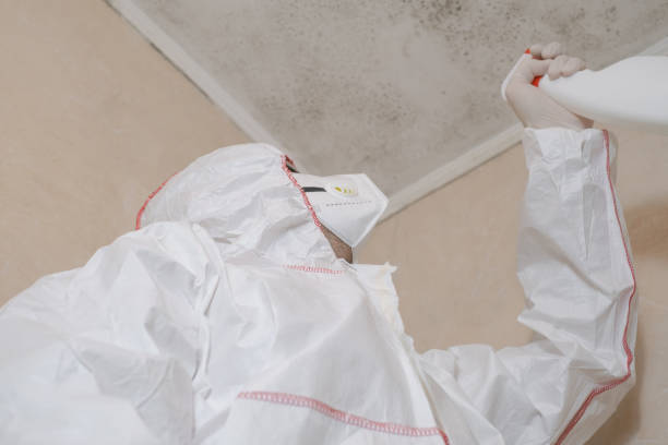 Attic Mold Removal in Farmington, MO
